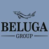 BELUGA GROUP