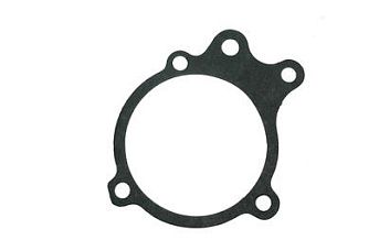 Прокладка насоса водяного  D700611