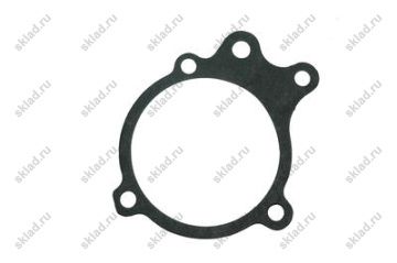 Прокладка насоса водяного  D700611