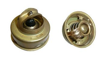 Термостат  21200-FM000